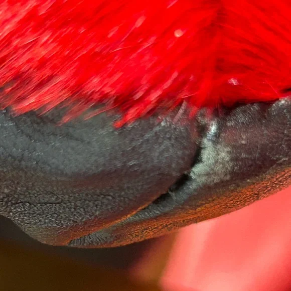 Leatherneck USA Black & Red Animal Print Calf Hair Shoulder Bag Approx. 12 x 11 - Picture 15 of 15